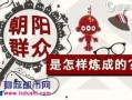 c朝阳群众,守护首都安宁的民间力量